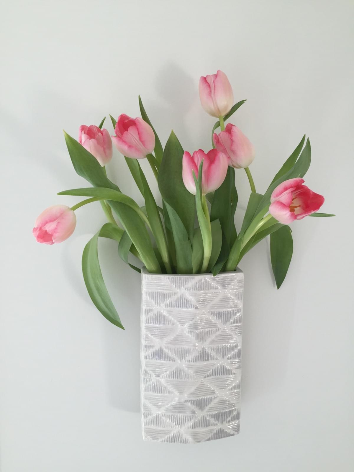 display buddie decorative vase hanging system